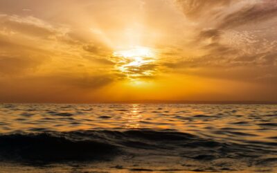 Une nouvelle agence matrimoniale ouvre aux Sables d’Olonne : et si le printemps était le moment de changer de vie ?